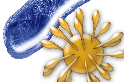 Bacteria and a virus
