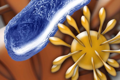 Bacteria and a virus