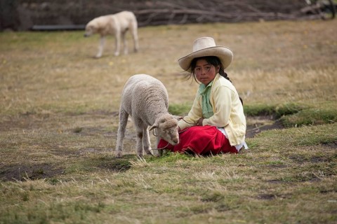 Peruvian shepherd girl with a straw hat