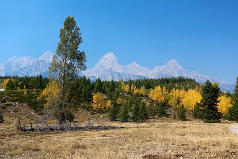 Grand Teton mountain range from the trail to Taggart Lake