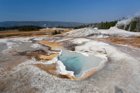 Heart Spring