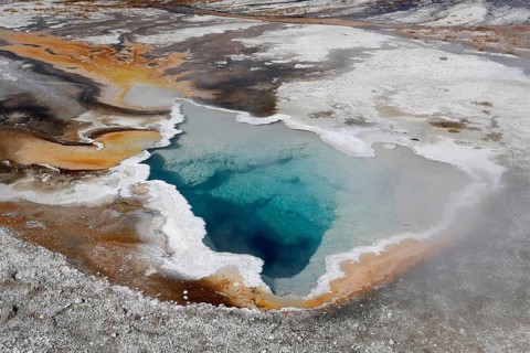 Heart Spring