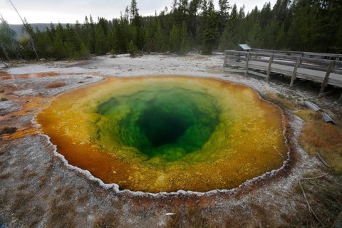 Morning Glory Pool