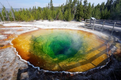 Morning Glory Pool