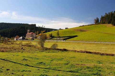 Rohrbach