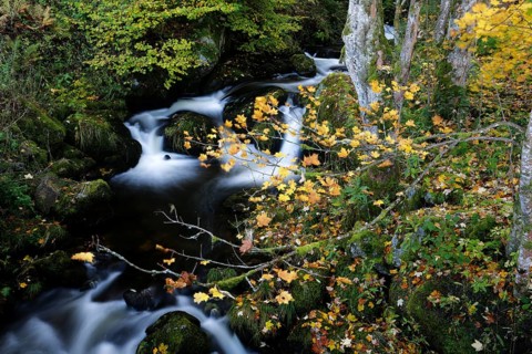 Creek