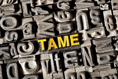 Old lead letters forming the word "TAME"