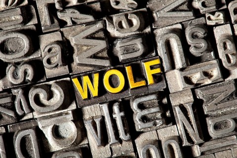Old lead letters forming the word 'wolf'