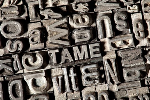 Old lead letters forming the word TAME