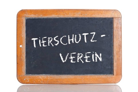 Old school blackboard with the term TIERSCHUTZVEREIN