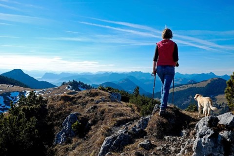 Female mountain hiker with Labrador