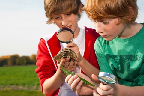 Two boys examining a turtle with a magnifying glass