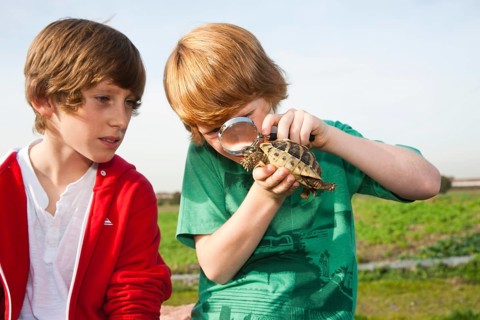 Two boys examining a turtle with a magnifying glass
