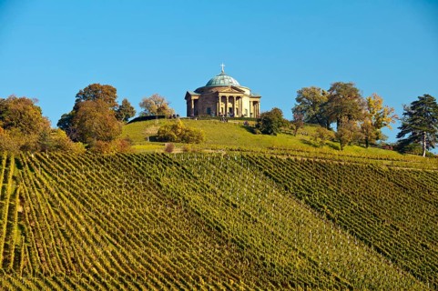 Vineyard with Lemberger grapes on Rotenberg Mountain with Wuerttemberg Mausoleum near Stuttgart