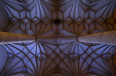 Reticulated vault