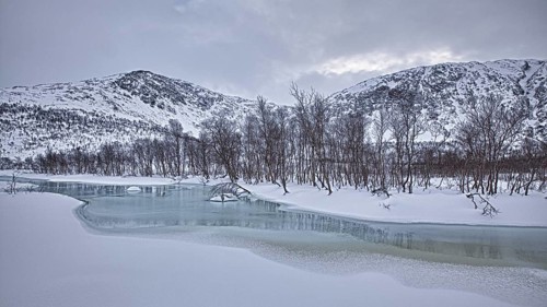 Creek in winter