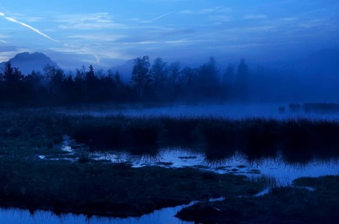 Dusk in the bog