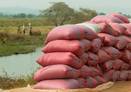 Rice bags waiting to be transported