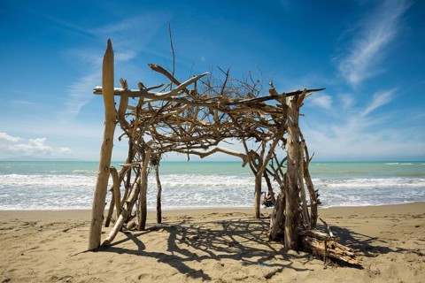 Driftwood construction