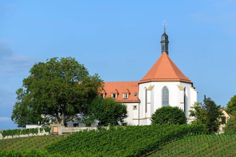 Vineyard with Vogelsburg with church Maria Schutz