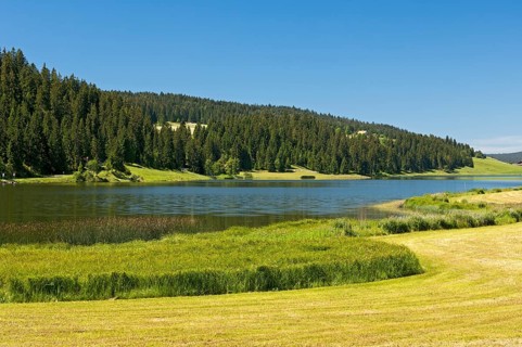 Lake Tailleres