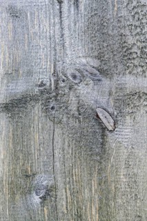 Old wood texture