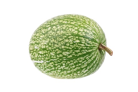 Fig-leaf gourd