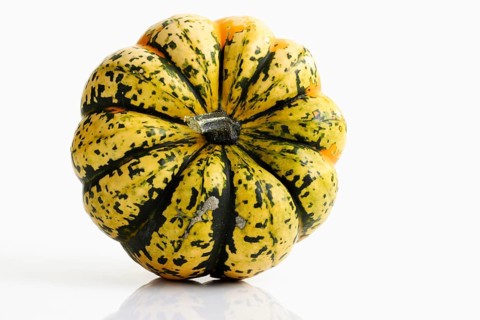 Chameleon Pumpkin