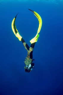 Freediver