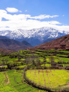 View of the Atlas Mountains
