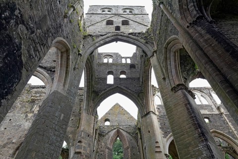 Ruins of the abbey church