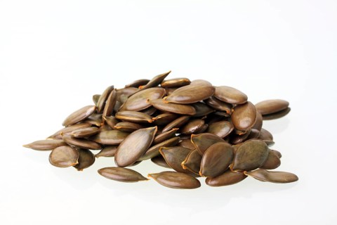 Pumpkin seeds from the Styrian Oil Pumpkin