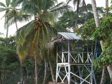 Lookout tower