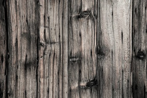 Wood grain in detail