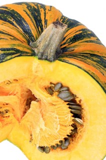 Styrian Oil Pumpkin