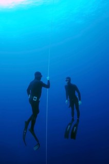 Freedivers