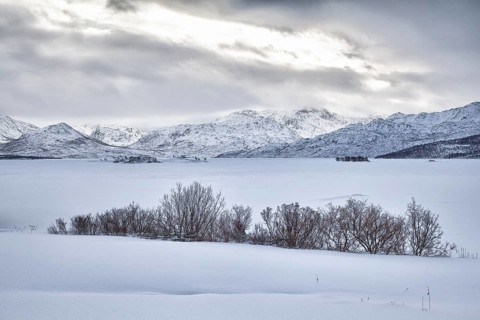 Lake Skogsfjordvatnet