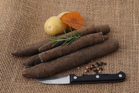 Salsify roots in a tin