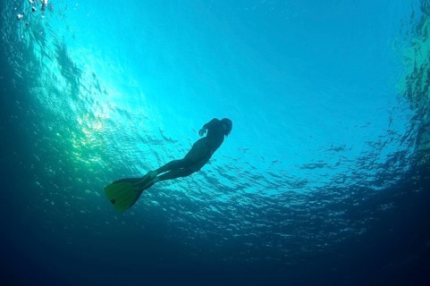 Freediver
