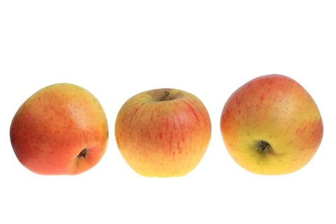 Apples