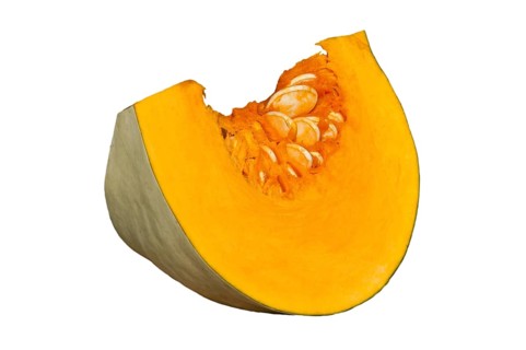 Piece of squash
