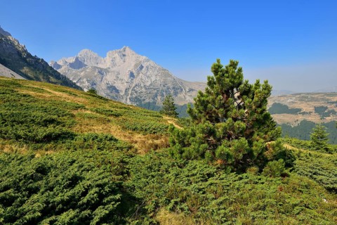View towards Kom Ljevorijecki Mountain