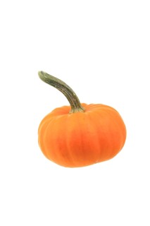 Squash
