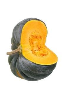 Squash or pumpkin