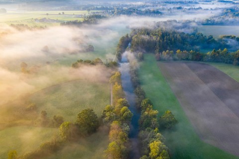 Loisach in the morning mist