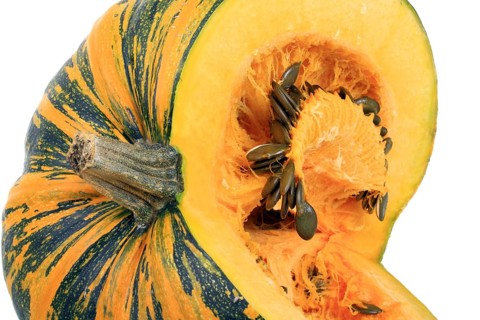 Styrian Oil Pumpkin
