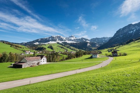 Green pastures in Appenzellerland in front of the snow-capped Appenzell Alps