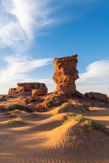 Evening light in the Sahara near Timimoun