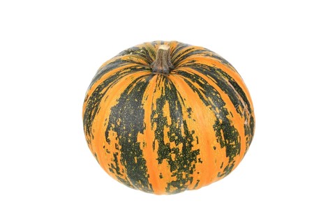 Squash