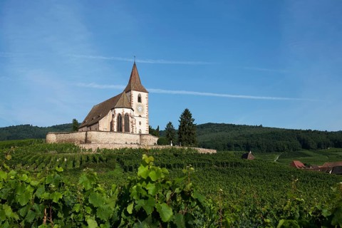 Gothic fortified church of Saint-Jacques in the vineyards
